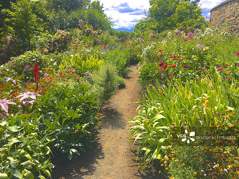 穿过八月多年生植物园的小路图片素材