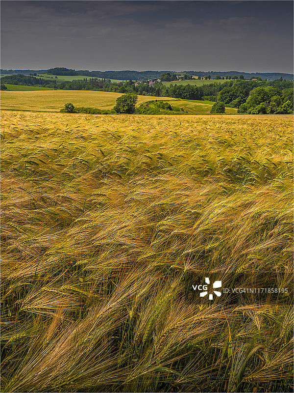 赫拉德茨-克拉洛韦的乡村景观，位于捷克共和国中波希米亚州图片素材