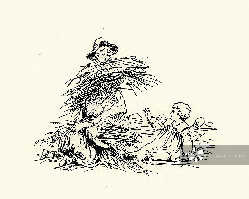 19世纪的草地拾草儿童图片素材