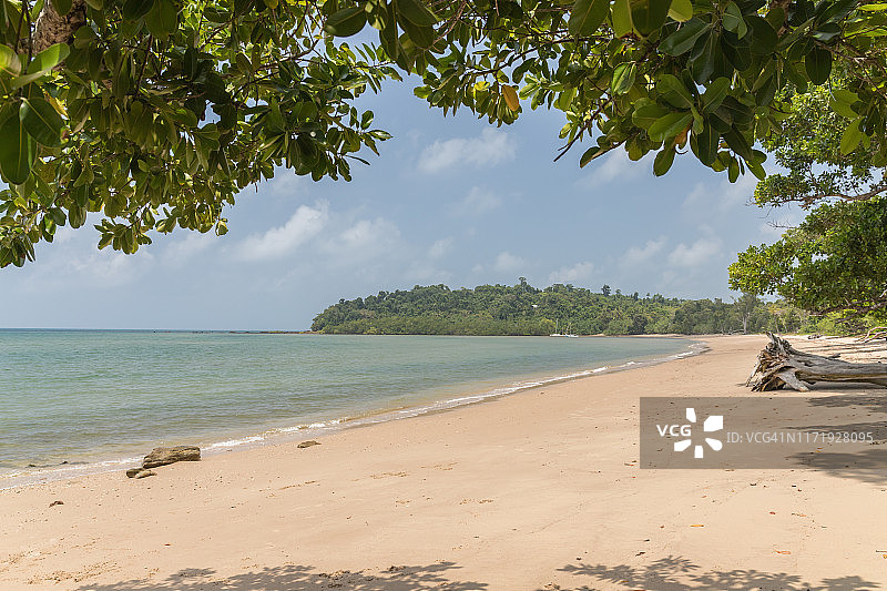 澳大利亚加纳斯海滩的绿叶景观图片素材