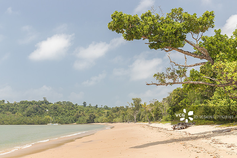 田园诗般的澳大利亚加纳斯海滩图片素材