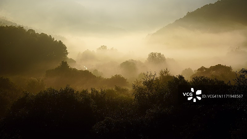 晨雾中图片素材