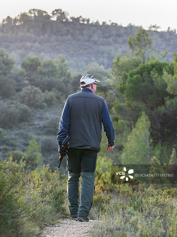 猎人携带猎枪和猎犬在山中猎鹧鸪和兔子图片素材