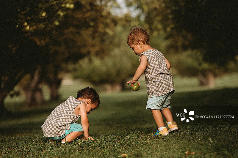 三岁异卵双胞胎在艾奥瓦州一起摘苹果图片素材