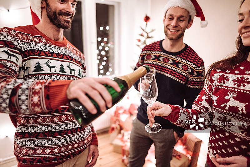 圣诞晚餐时的碰杯图片素材