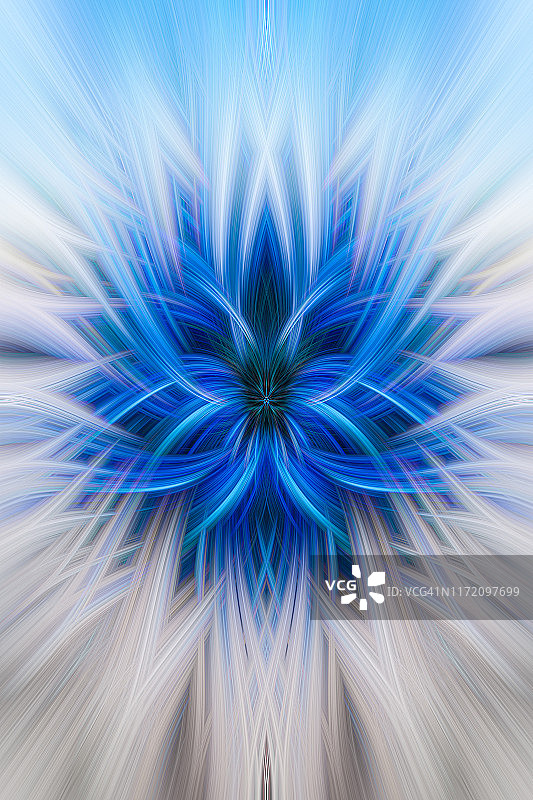 蓝色和白色抽象花卉背景图片素材