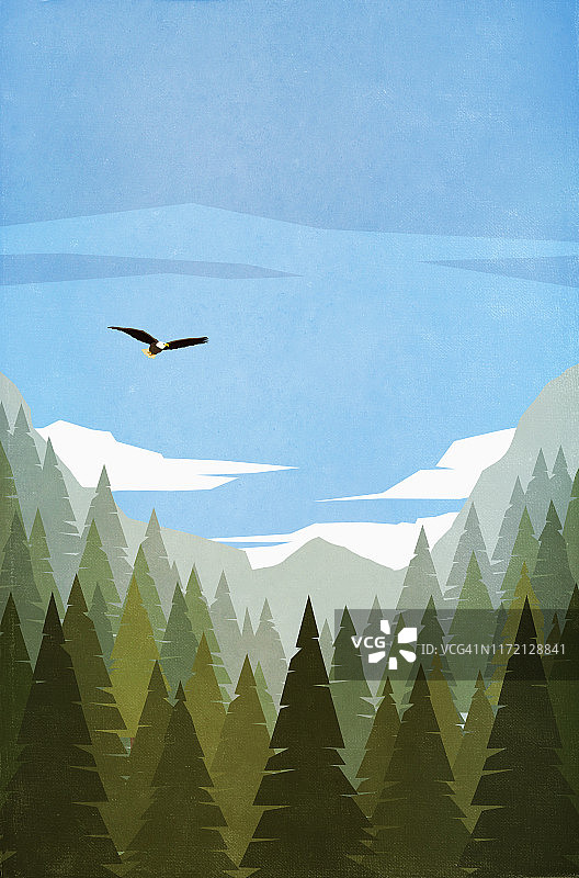 秃鹰飞越树梢图片素材