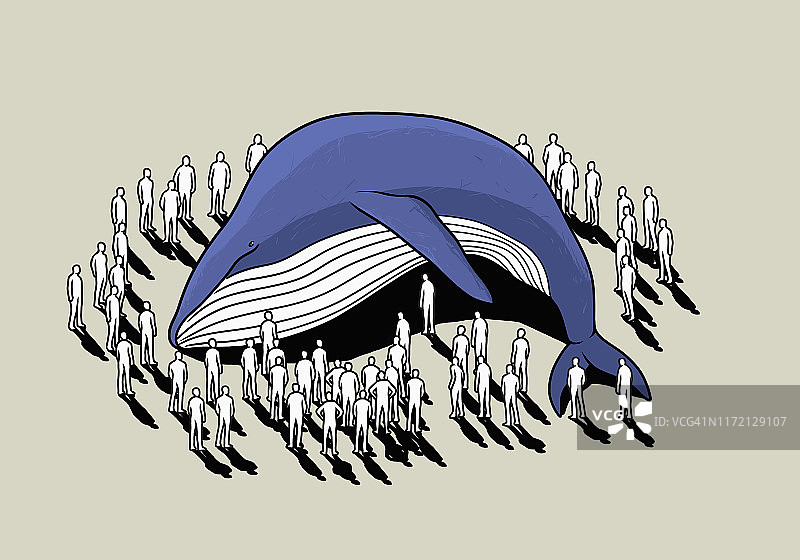 围观搁浅鲸鱼的人群图片素材