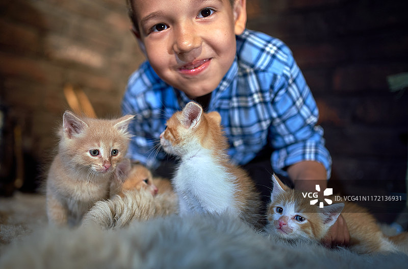 微笑男孩和可爱的姜黄色小猫玩耍图片素材
