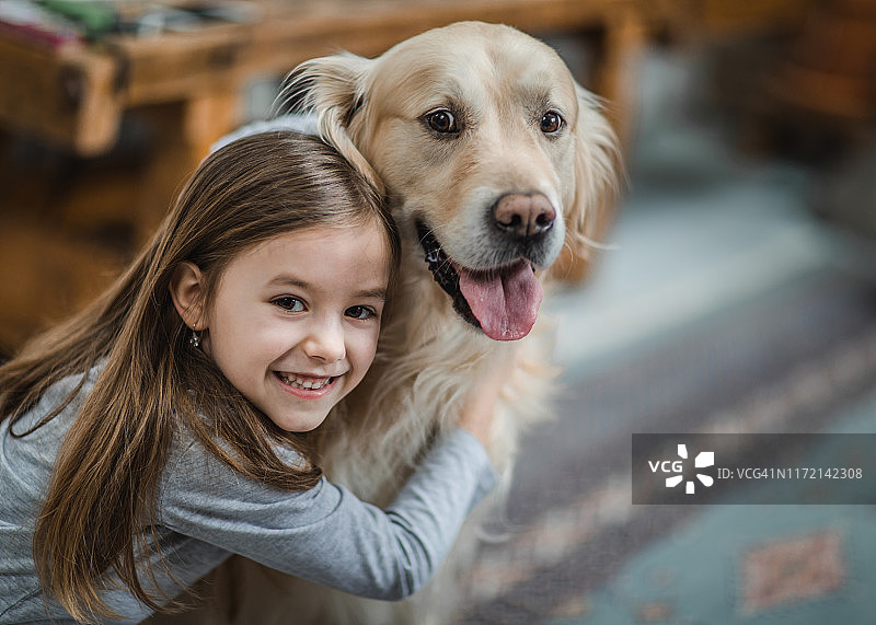 快乐的小女孩在家拥抱她的金毛寻回犬图片素材