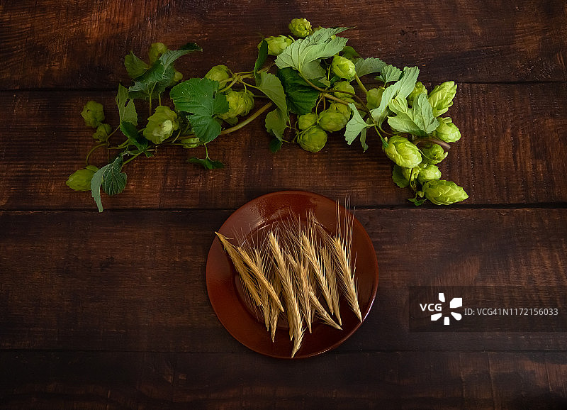 自制啤酒酿造：啤酒花和麦穗图片素材