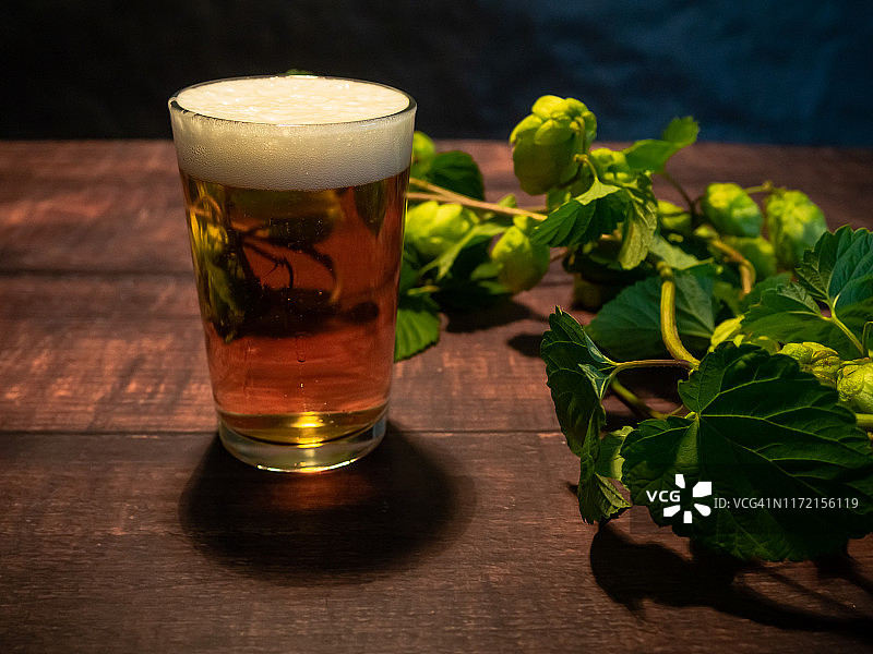 自制精酿啤酒：一杯白色泡沫的金色啤酒和啤酒花枝图片素材