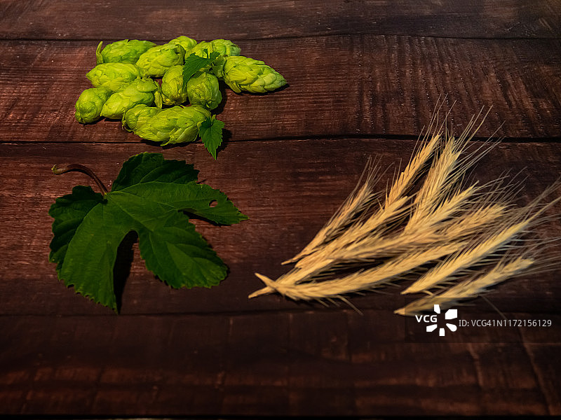 自酿啤酒：啤酒花和麦穗图片素材