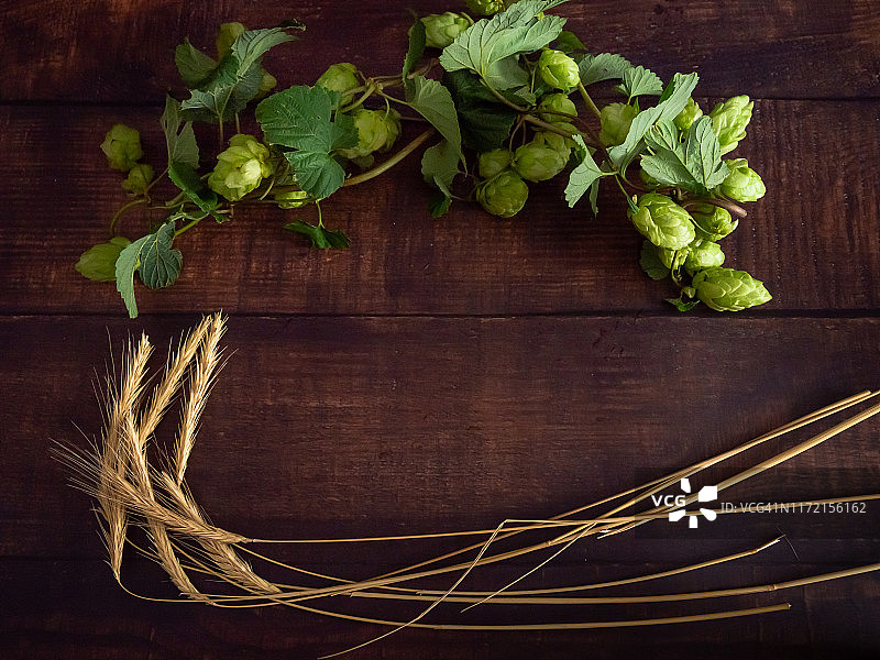 自制啤酒酿造：啤酒花和麦穗图片素材