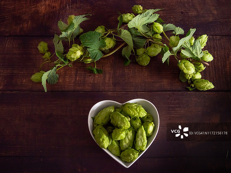 自酿啤酒：心形瓷碗中的啤酒花和啤酒花枝图片素材