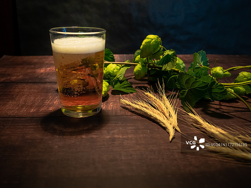 自制精酿啤酒酿造：一杯金色啤酒，旁边是啤酒花枝，上面有啤酒花和麦穗图片素材