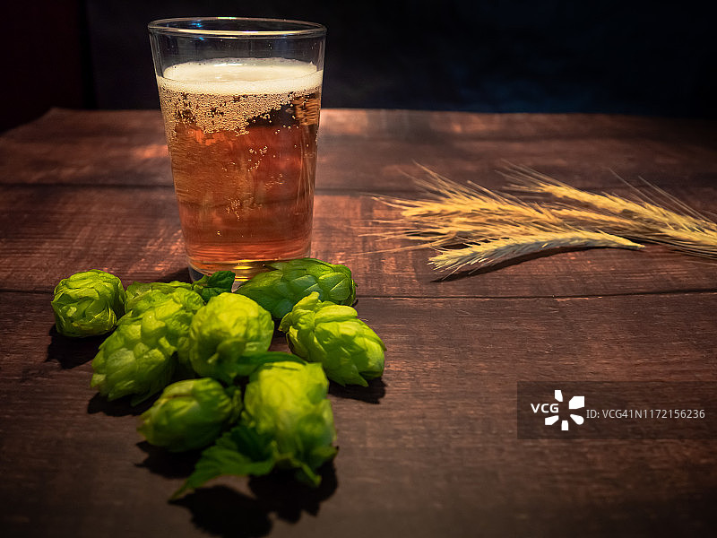 自酿精酿啤酒：一杯金黄啤酒，啤酒花和大麦穗图片素材