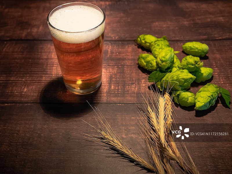 自酿精酿啤酒：一杯金黄啤酒，啤酒花和大麦穗图片素材