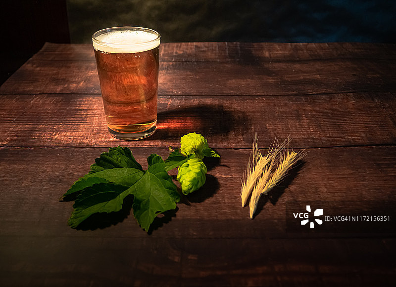 自制啤酒酿造：一杯泡沫丰富的金黄色啤酒、啤酒花和麦穗图片素材