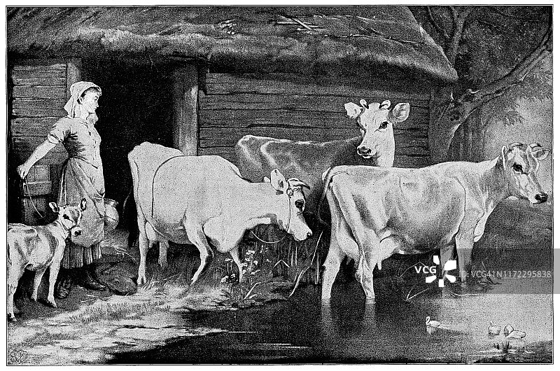 埃德温·道格拉斯的获奖运动衫 - 19世纪作品图片素材