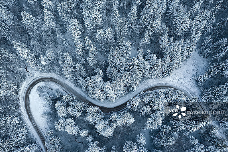 通往冬季森林的道路图片素材