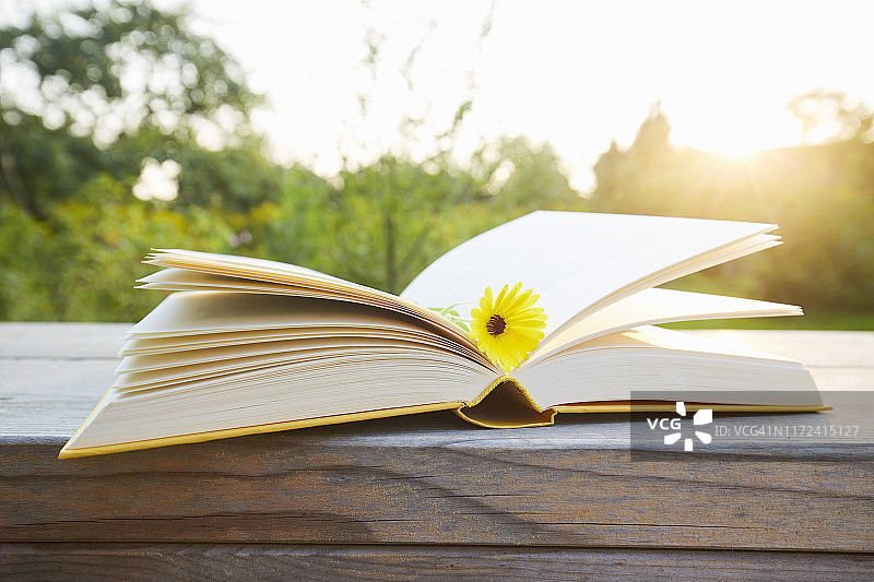 花园日落中，鲜花书签的打开的书本静物图片素材