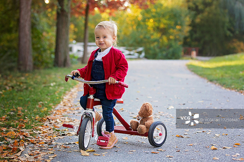 可爱女婴在秋季公园里骑三轮车图片素材
