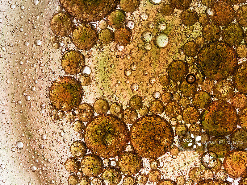 彩色液体背景上的气泡和油滴形成的抽象形状和纹理全画幅图片素材