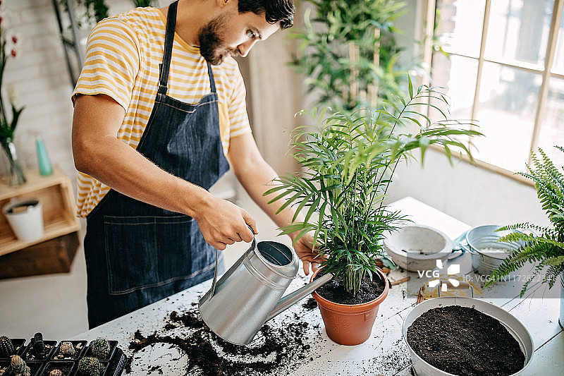 我的精确安排图片素材