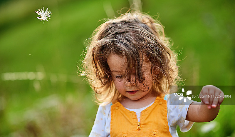 美丽的大自然图片素材