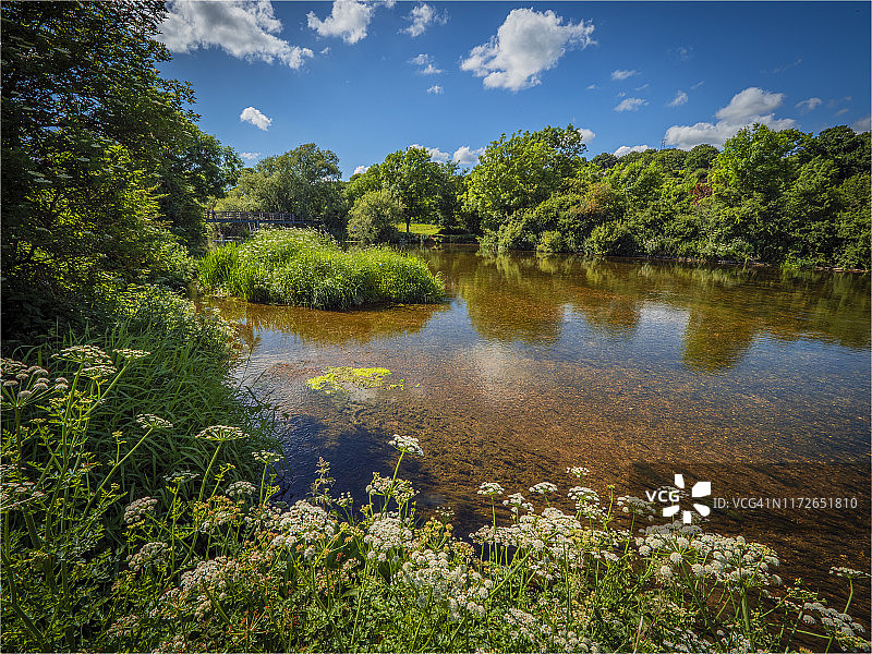英格兰多塞特郡温伯恩明斯特的斯陶尔河夏日风光图片素材