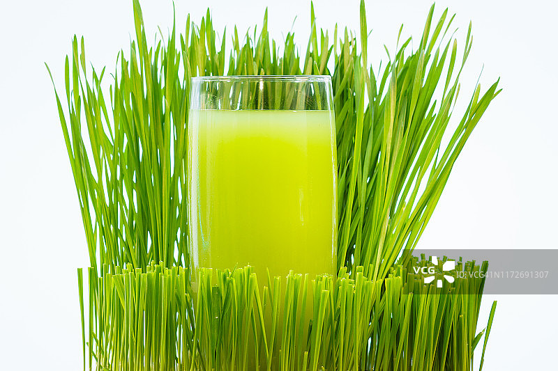 白色背景下的新鲜嫩小麦草图片素材