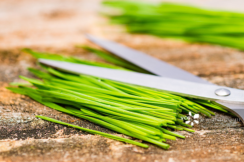 已收割的新鲜小麦草图片素材
