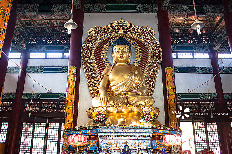 位于尼泊尔蓝毗尼加拿大寺院的冥想佛陀图片素材