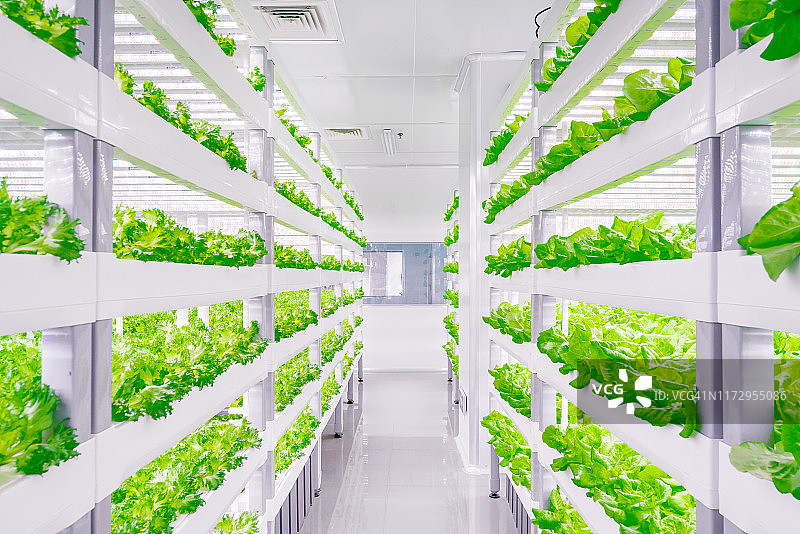 实验室蔬菜图片素材