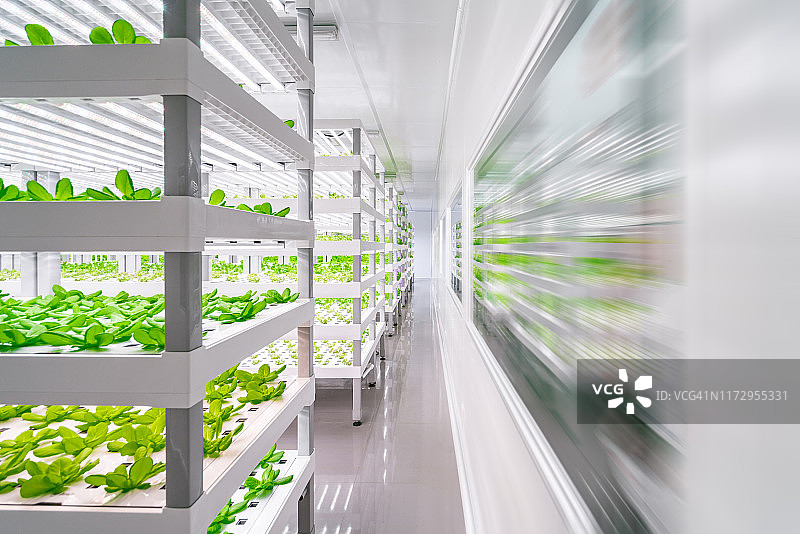 实验室蔬菜图片素材