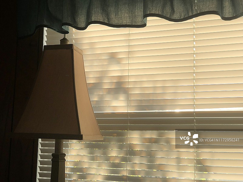 家里的电灯和灯罩橱窗图片素材
