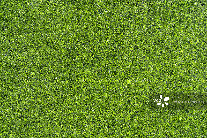 绿草的背景图片素材