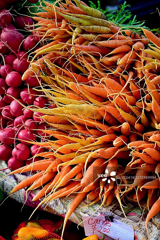 色彩鲜艳的胡萝卜图片素材