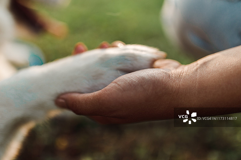 年轻女人握着小狗的爪子图片素材