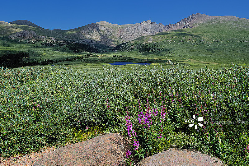 埃文斯山和比尔斯塔特山，科罗拉多州图片素材