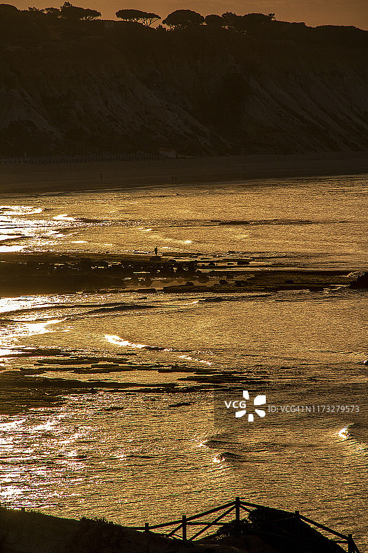 金色海滩图片素材