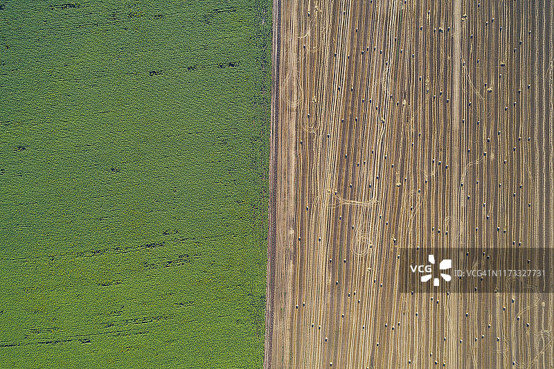 日落时分干草堆和向日葵农业田地的鸟瞰图图片素材