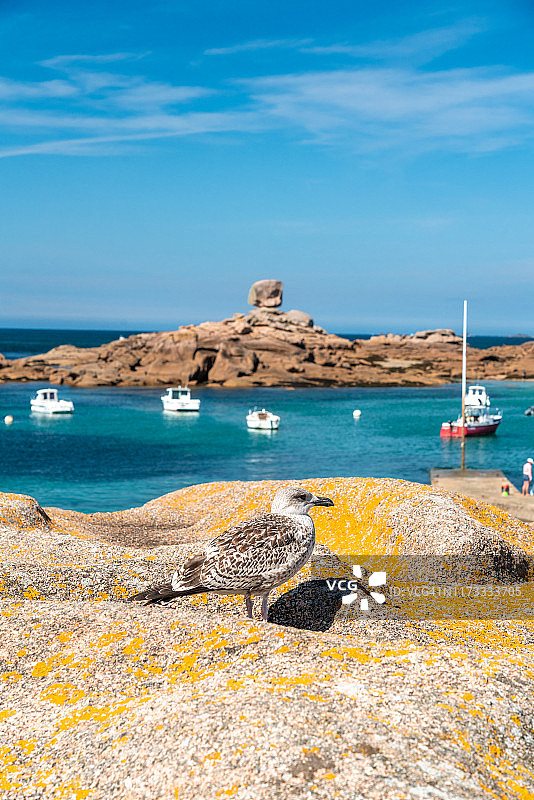 布列塔尼夏季的蓝天，花岗岩海岸-特雷加斯特尔，阿摩尔滨海省图片素材