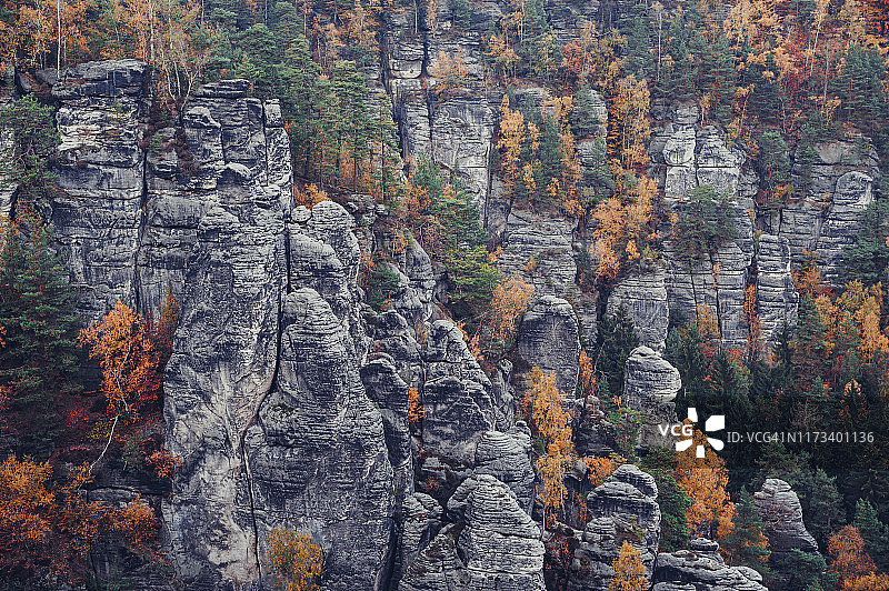 德国萨克森瑞士国家公园巴斯泰桥冬季山地森林景观图片素材