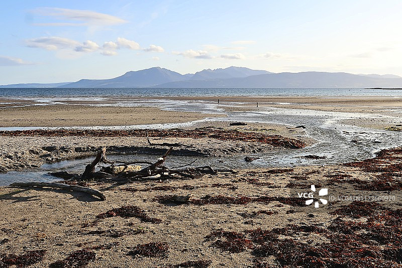 苏格兰比特岛Scalpsie海滩上的浮木图片素材