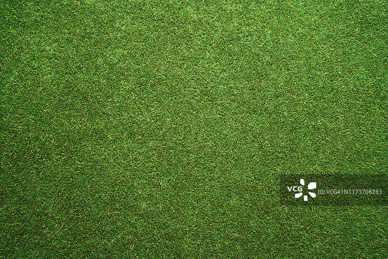 绿色草皮纹理图片素材