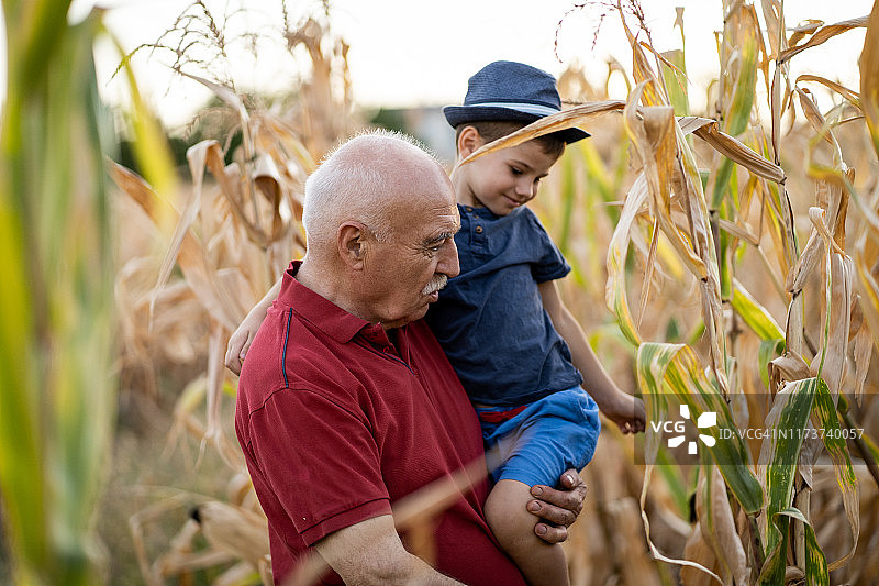 农田里的爷爷和孙子图片素材