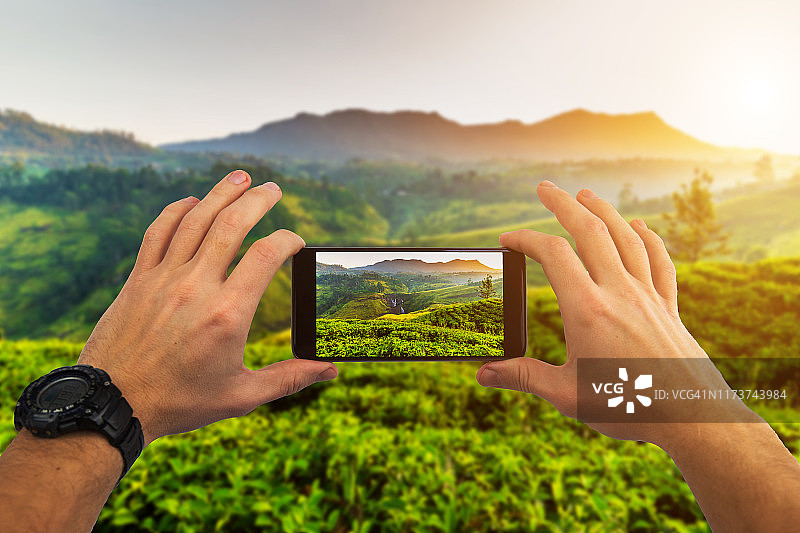 在斯里兰卡努瓦拉埃利亚日出时分的茶园用智能手机拍摄图片素材