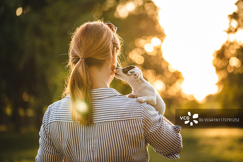 杰克罗素梗犬向女主人表达爱意，一起看日落图片素材